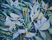 12. White Flowers on a Bed of Green